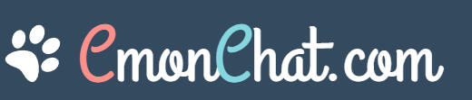Site CMonChat Site d'aide pour chat perdu
